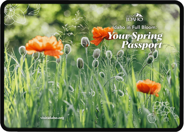 An iPad showing a field with red poppies swaying on the screen and text reading, Idaho in Full Bloom, Your Spring Passport.